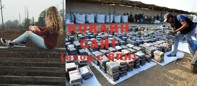 Cocaine 99%  где найти   mega маркетплейс  Краснообск 