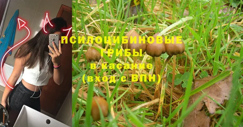 Псилоцибиновые грибы Magic Shrooms  кракен ссылки  Краснообск  цены наркотик 